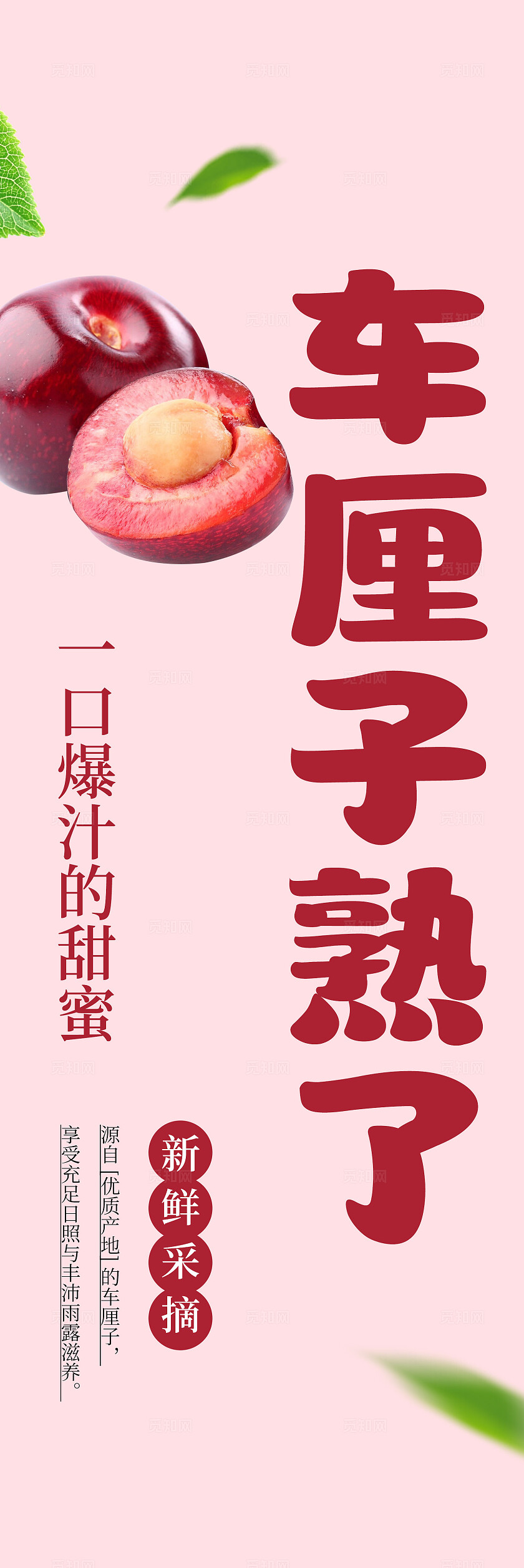 红色新鲜车厘子精品水果宣传挂画标语套图