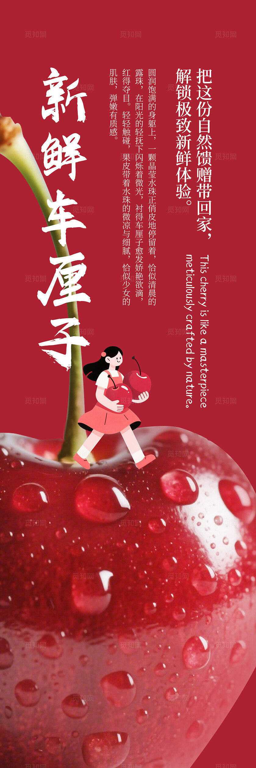 红色新鲜车厘子精品水果宣传挂画标语套图