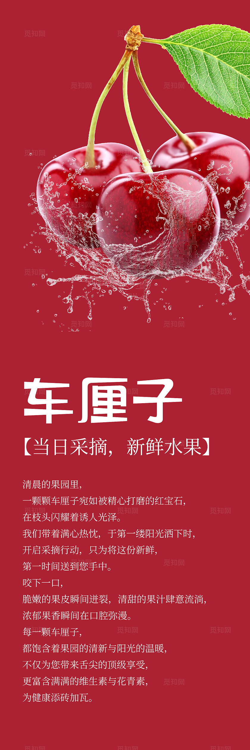 红色新鲜车厘子精品水果宣传挂画标语套图
