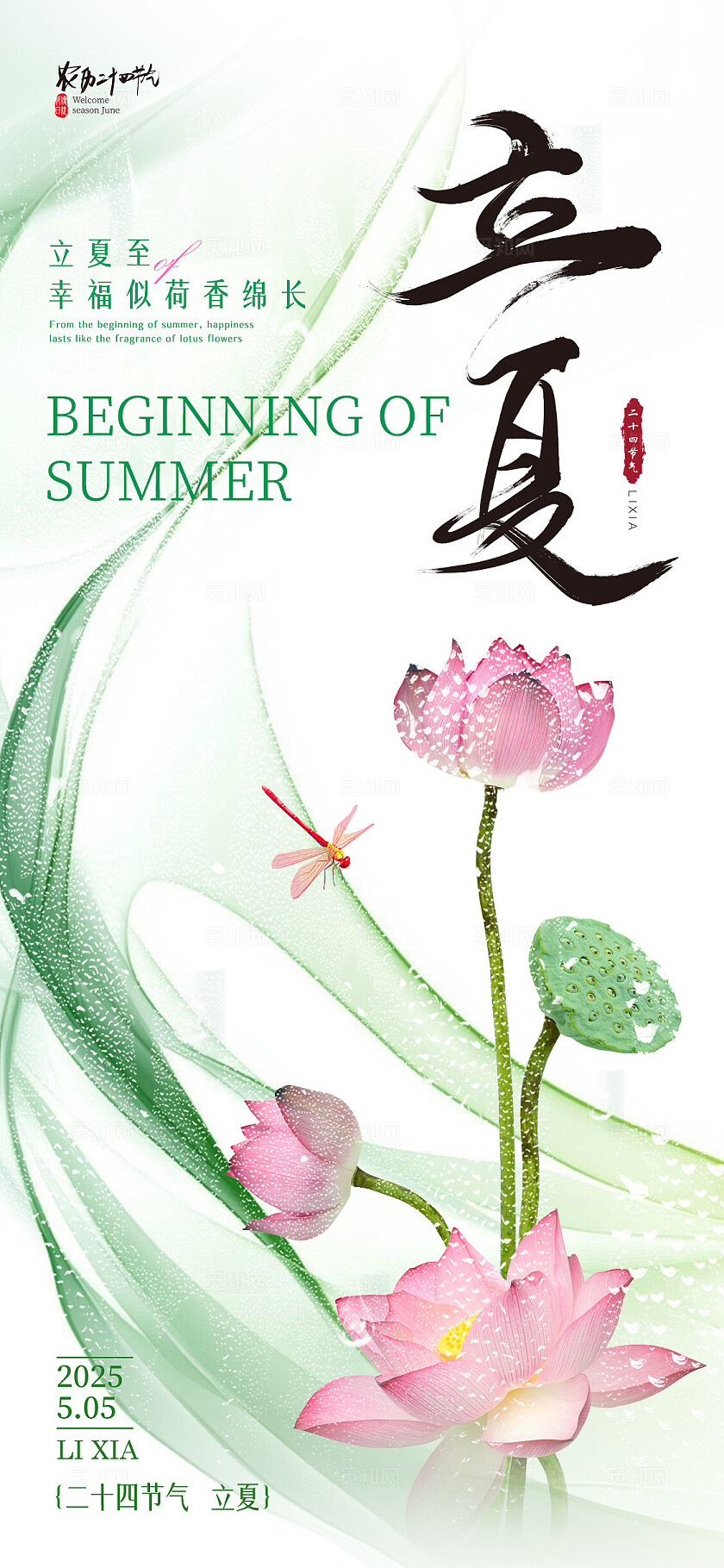 白色简约风格立夏立夏手机宣传海报立夏宣传海报立夏海报节气海报二十四节气24节气立夏