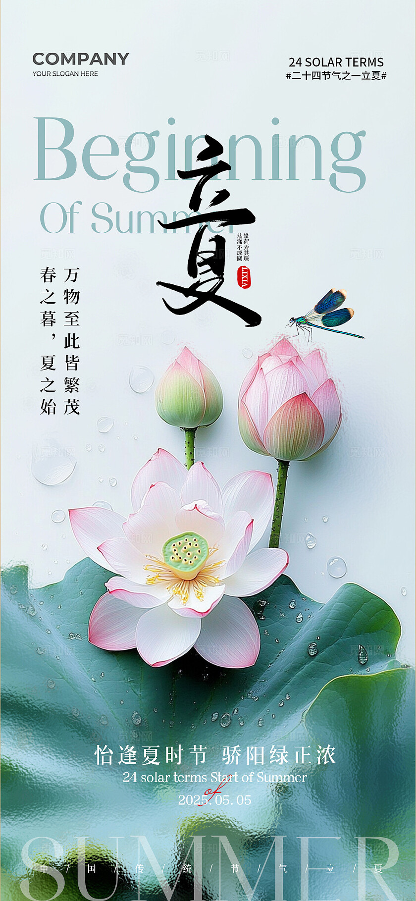 AI夏天荷花插画二十四节气立夏手机宣传海报二十四节气24节气立夏