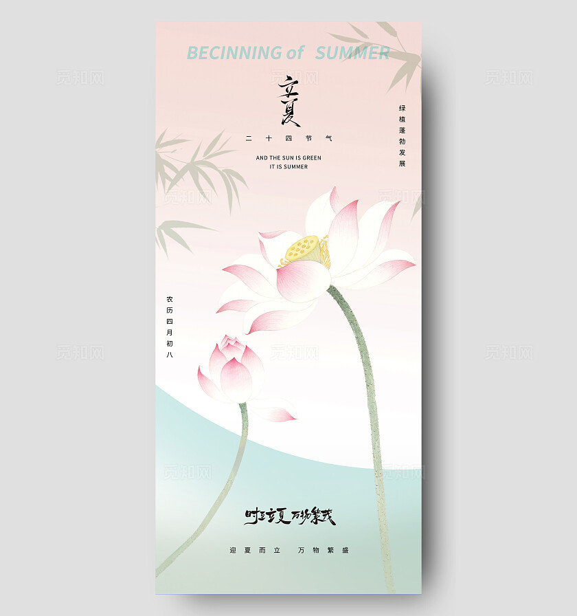 立夏节气海报