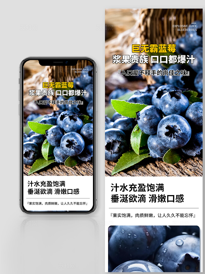 蓝色简约长图电商食品蓝莓详情页长图电商宣传长图文章长图