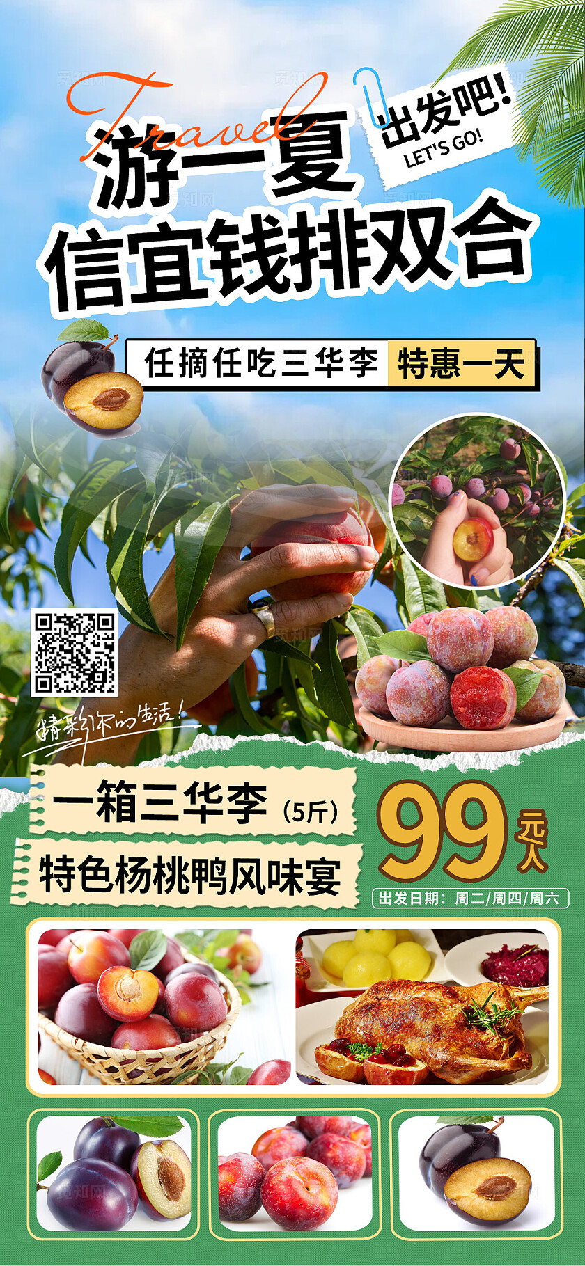 蓝色简约水果采摘手机海报