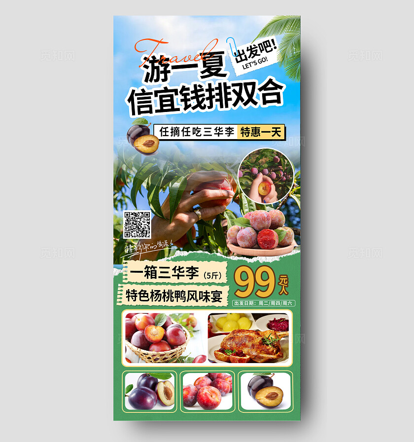 蓝色简约水果采摘手机海报