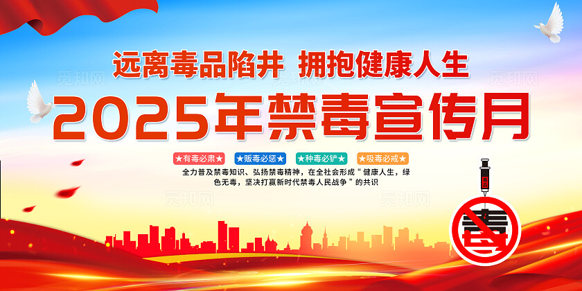简单大气党建蓝色国际禁毒日宣传展板