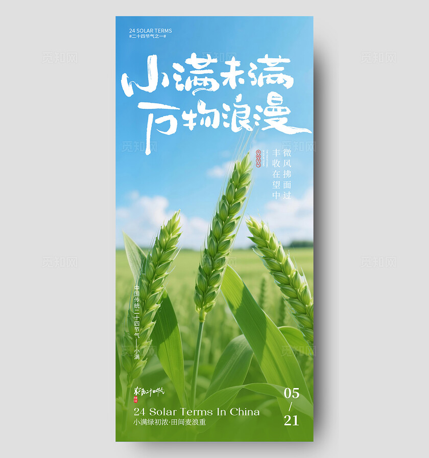 小满节气海报