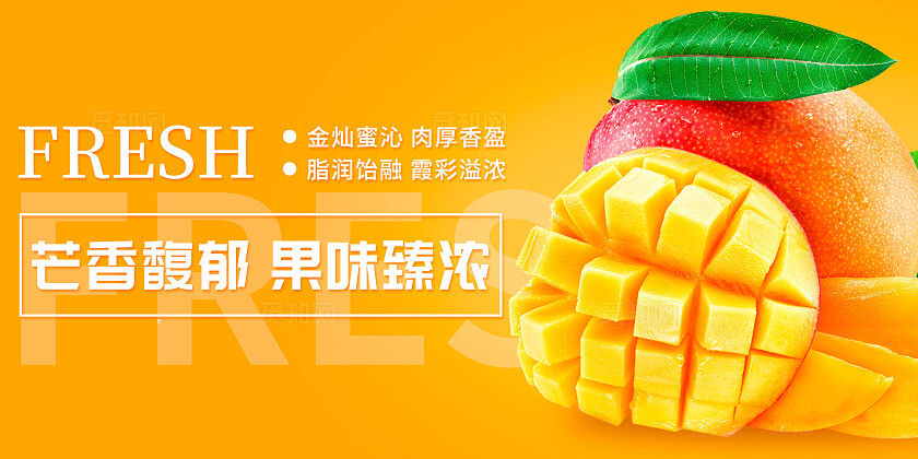 水彩多色系新鲜芒果荔枝火龙果蓝莓牛油果葡萄百香果水果套图