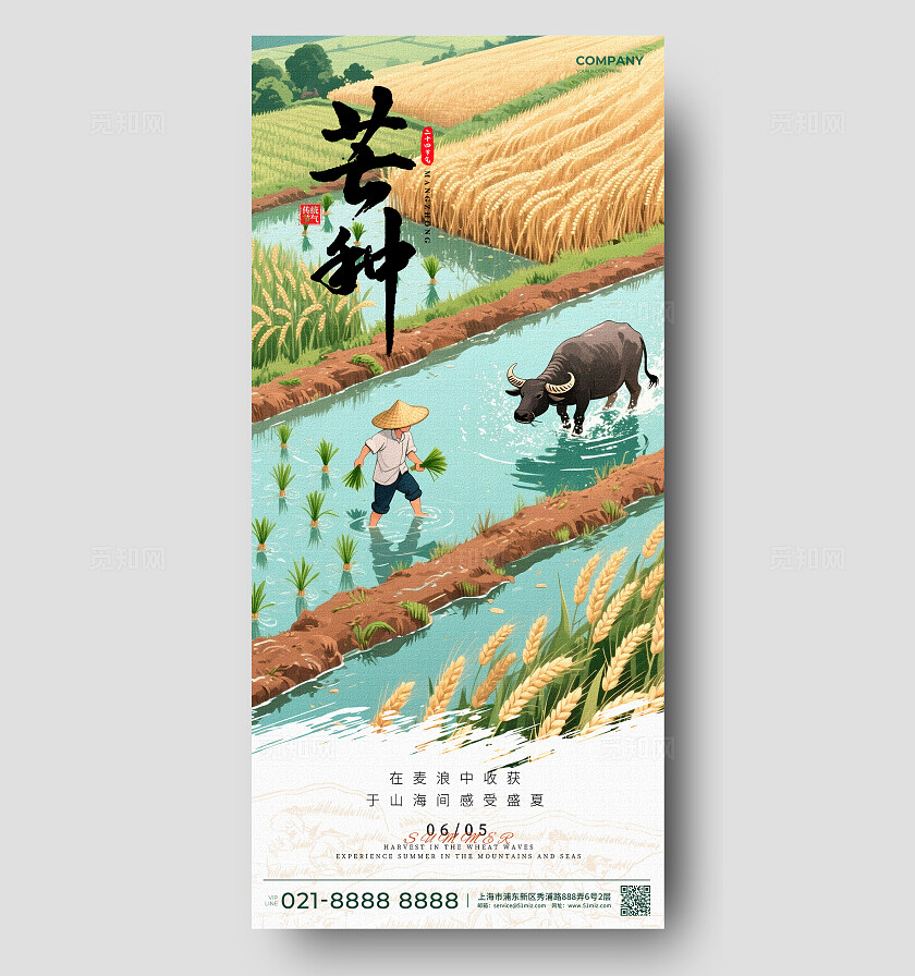 黄色插画芒种节气海报