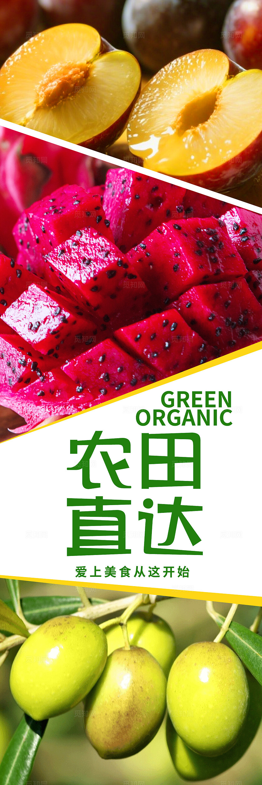 多彩新鲜水果几何风企业宣传海报挂画套图