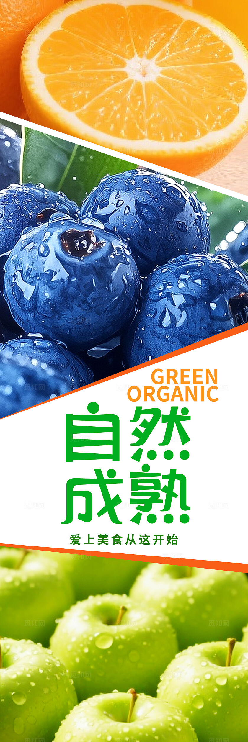 多彩新鲜水果几何风企业宣传海报挂画套图