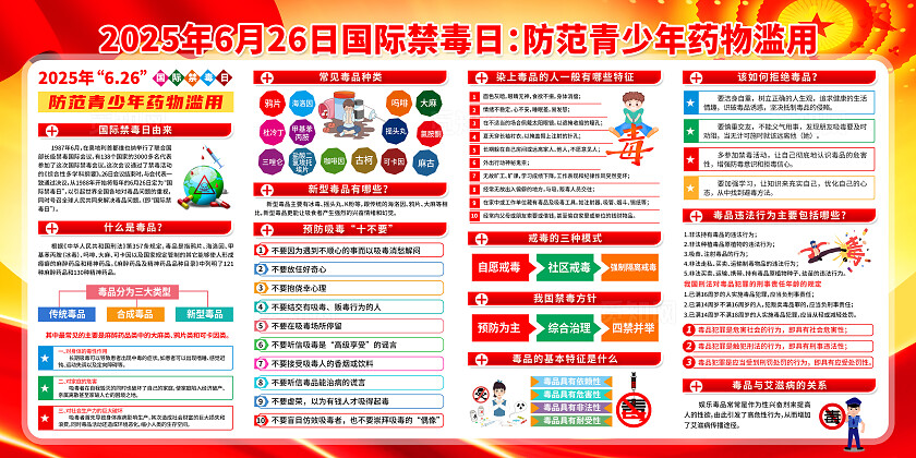 简单大气红色党建2025年国际禁毒日宣传展板