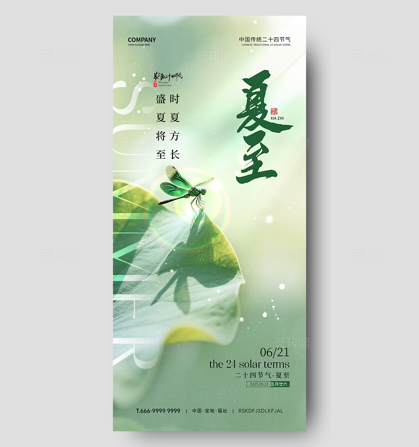 夏至节气海报