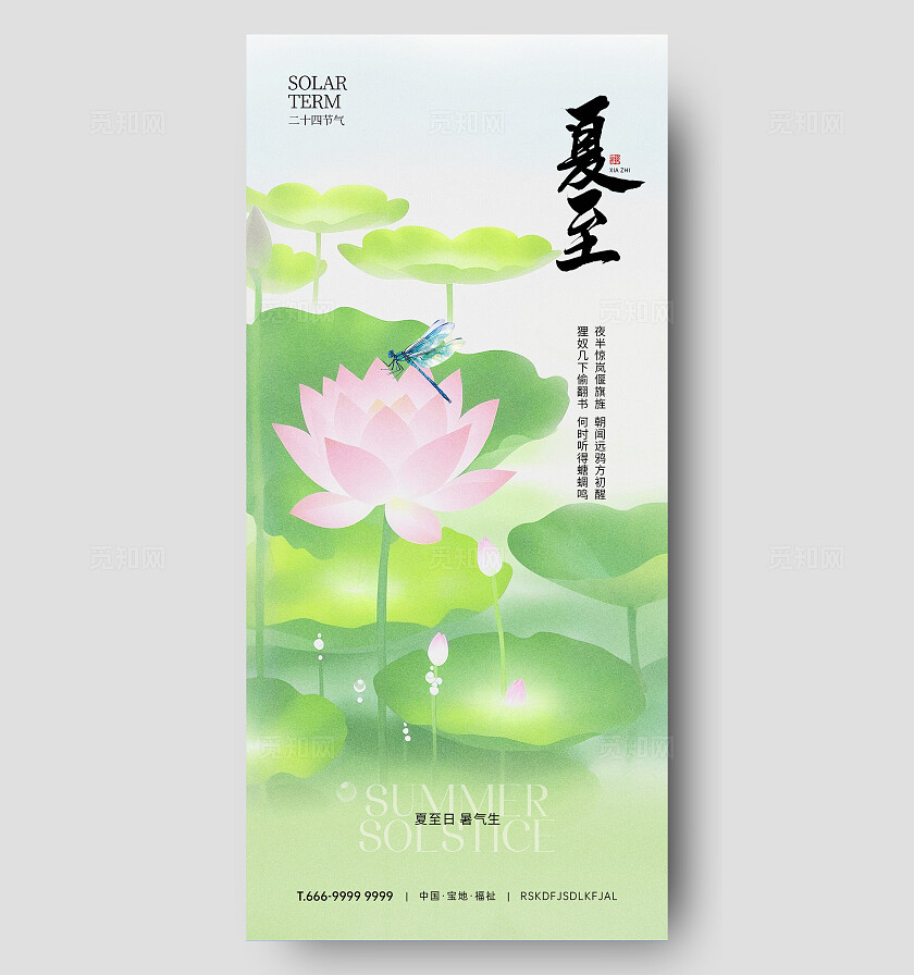夏至节气海报