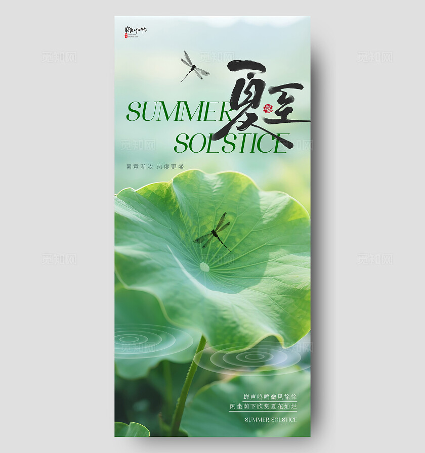 夏至节气海报