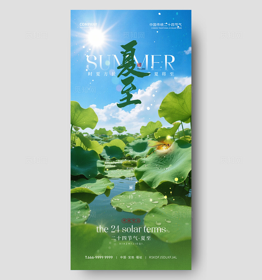 夏至节气海报