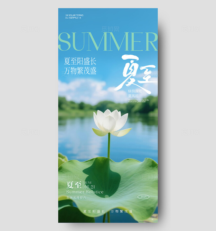 夏至节气海报