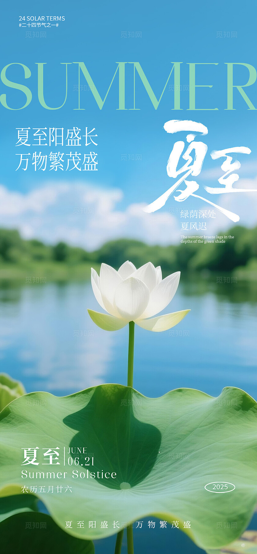 夏至节气海报