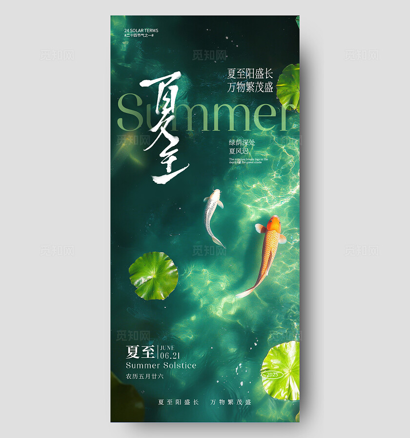 夏至节气海报