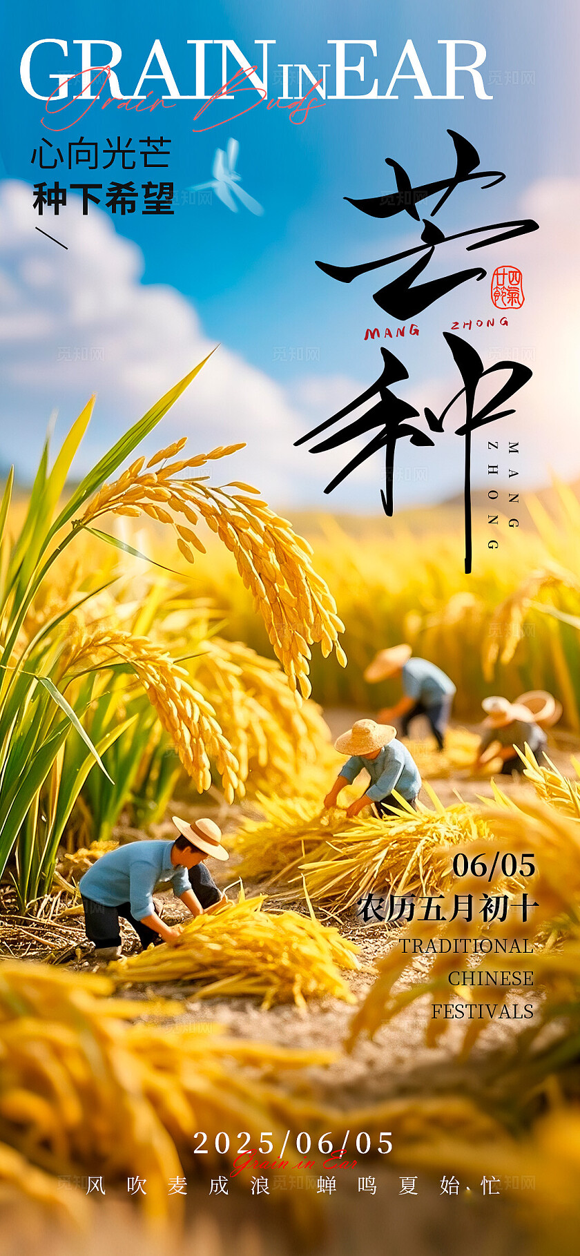 黄色微缩摄影风格芒种芒种宣传海报芒种海报芒种节气海报节气海报