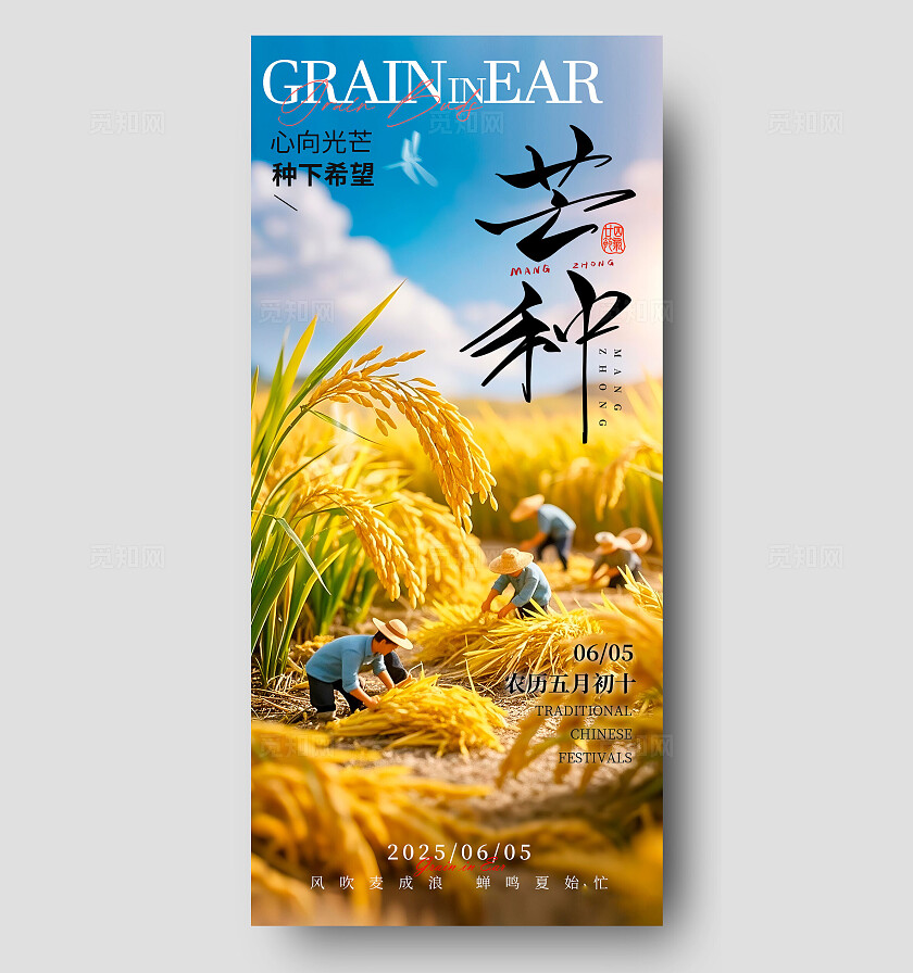 黄色微缩摄影风格芒种芒种宣传海报芒种海报芒种节气海报节气海报
