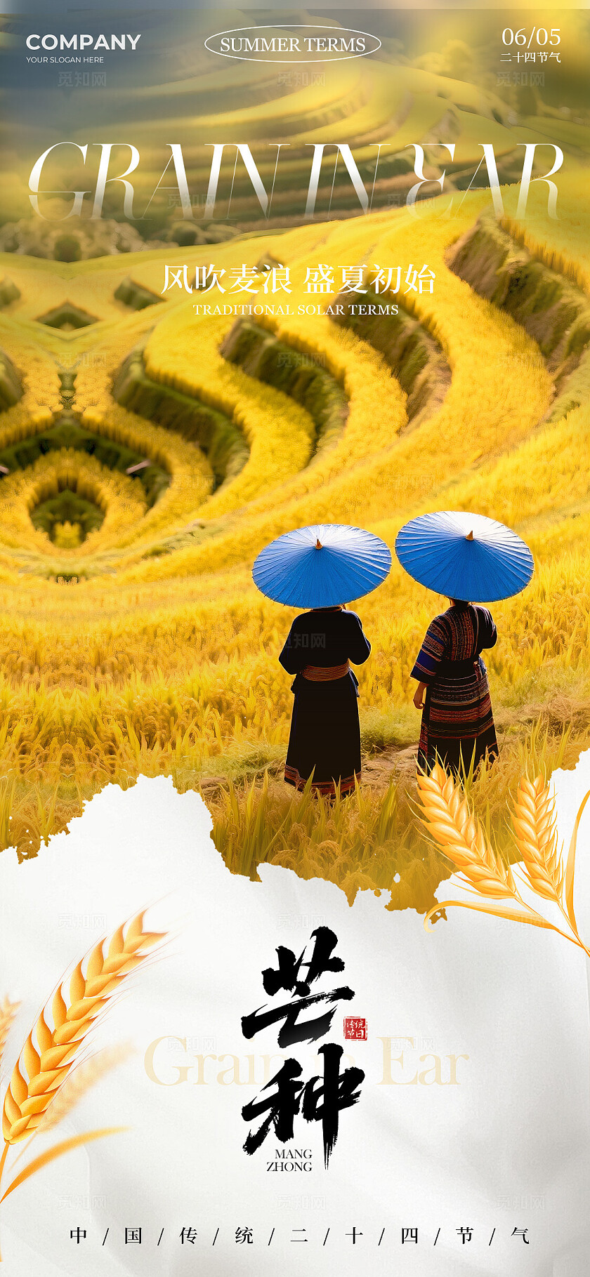 黄色摄影实拍风格芒种芒种宣传海报芒种海报芒种节气海报节气海报