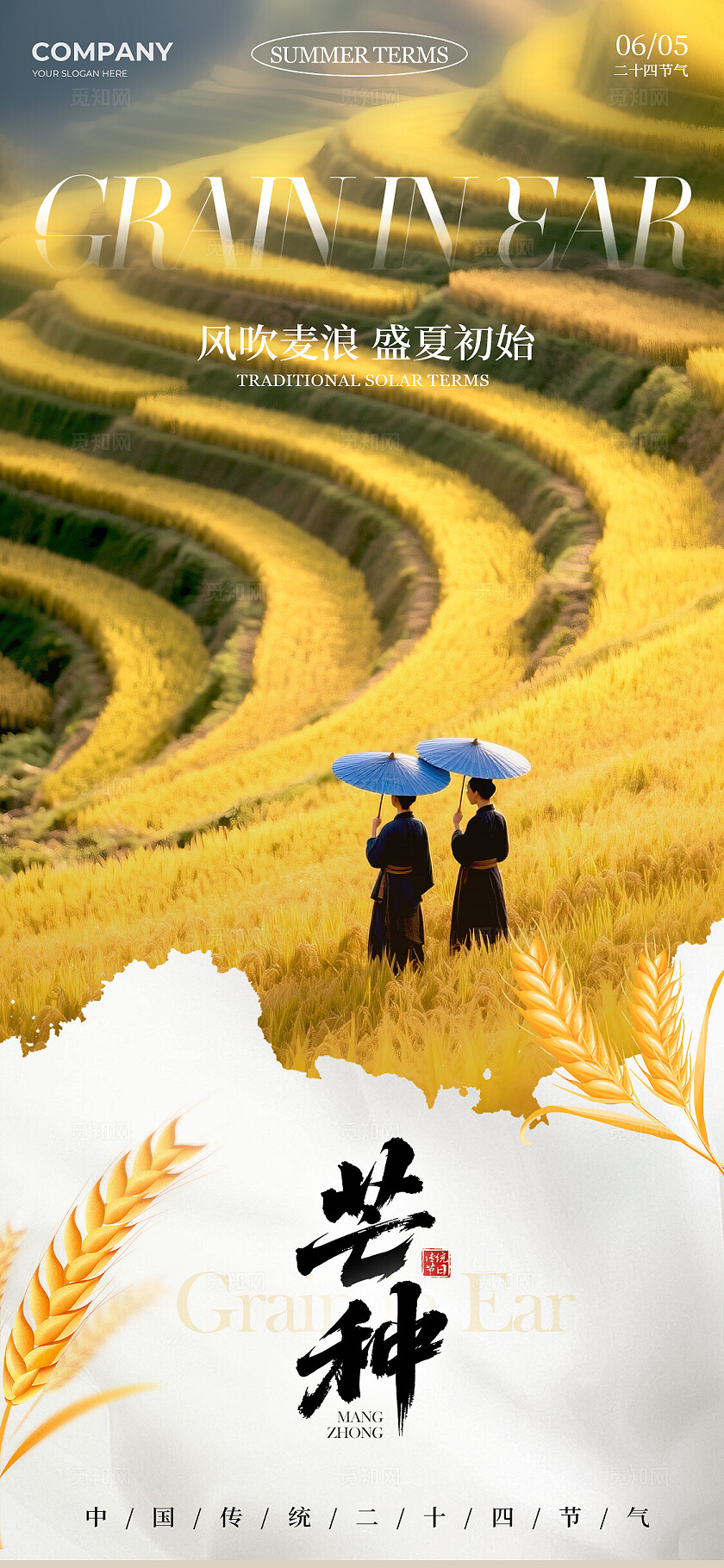 黄色摄影实拍风格芒种芒种宣传海报芒种海报芒种节气海报节气海报