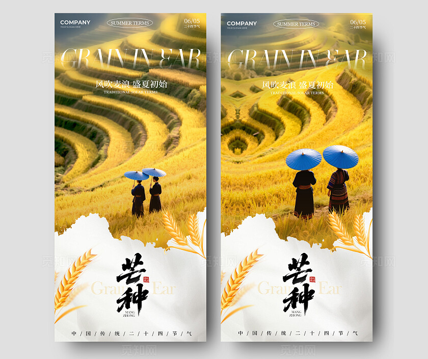 黄色摄影实拍风格芒种芒种宣传海报芒种海报芒种节气海报节气海报