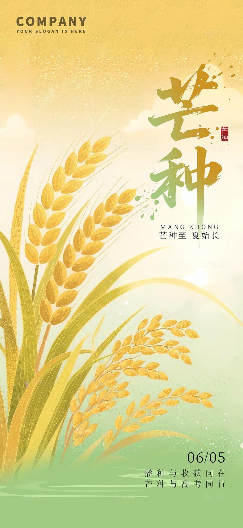 黄绿色渐变芒种节气插画海报