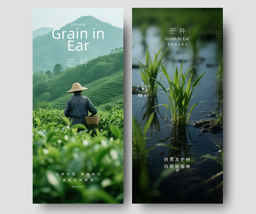 二十四节气芒种摄影写实海报