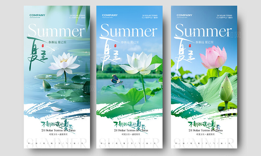 实拍风夏天荷花二十四节气夏至节气手机宣传海报