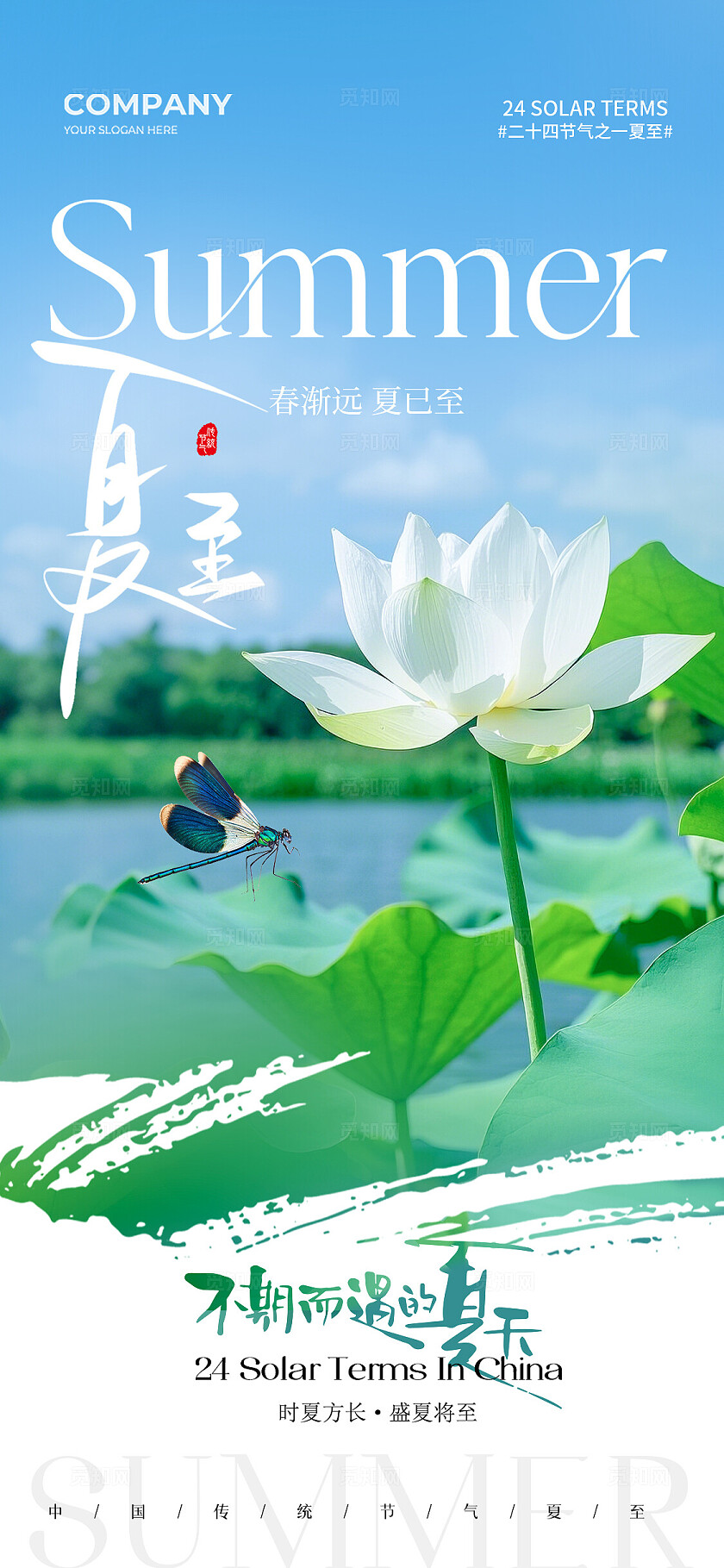 实拍风夏天荷花二十四节气夏至节气手机宣传海报