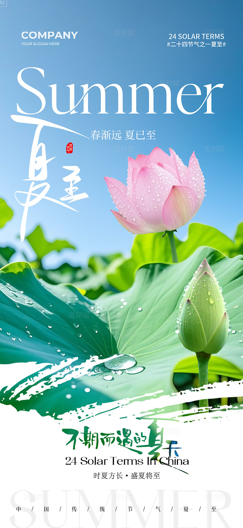 实拍风夏天荷花二十四节气夏至节气手机宣传海报