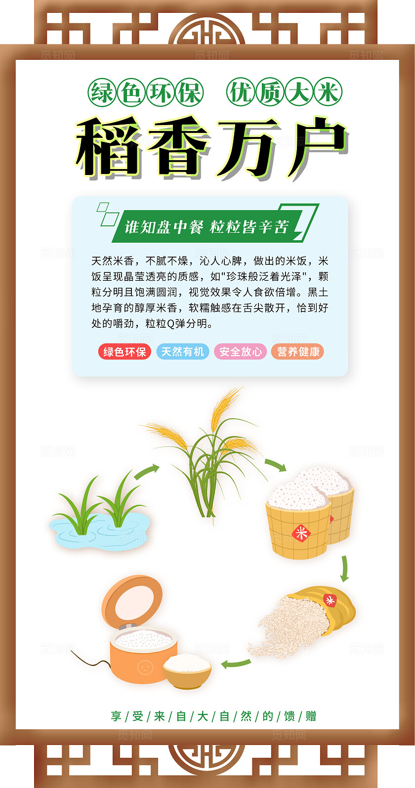 白色简约卡通套图有机大米宣传海报绿色食品插画套图