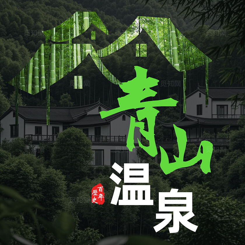 墨绿色简约实拍风温泉泡汤SPA大众点评店铺banner轮播图