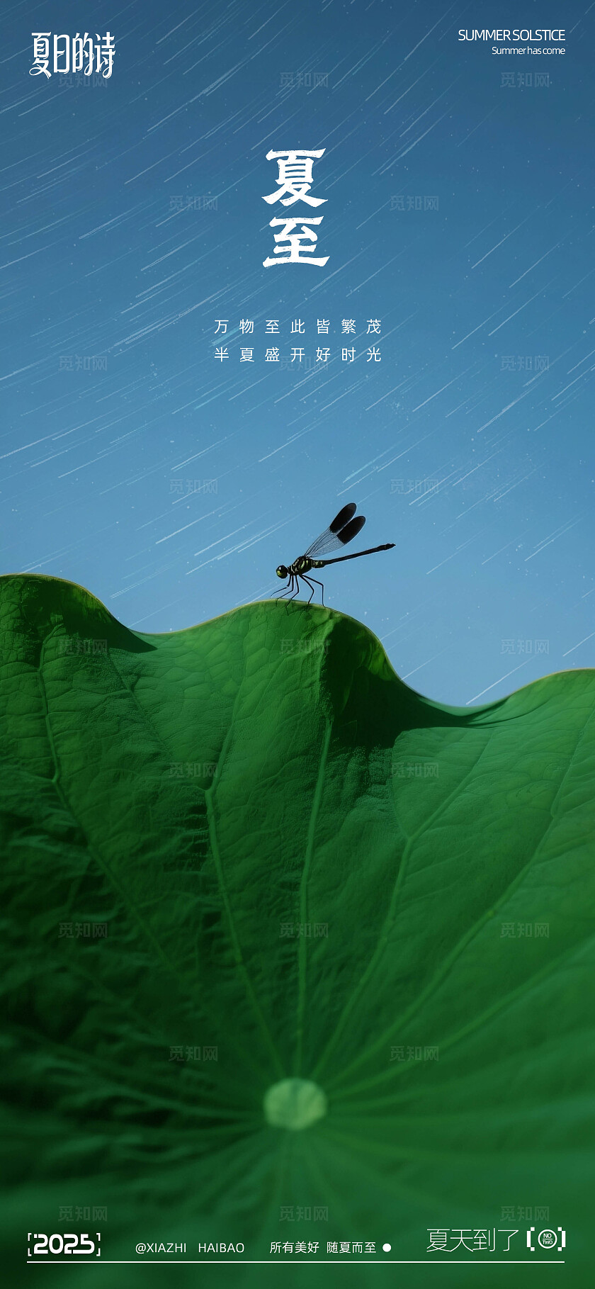 夏至写实摄影系列海报