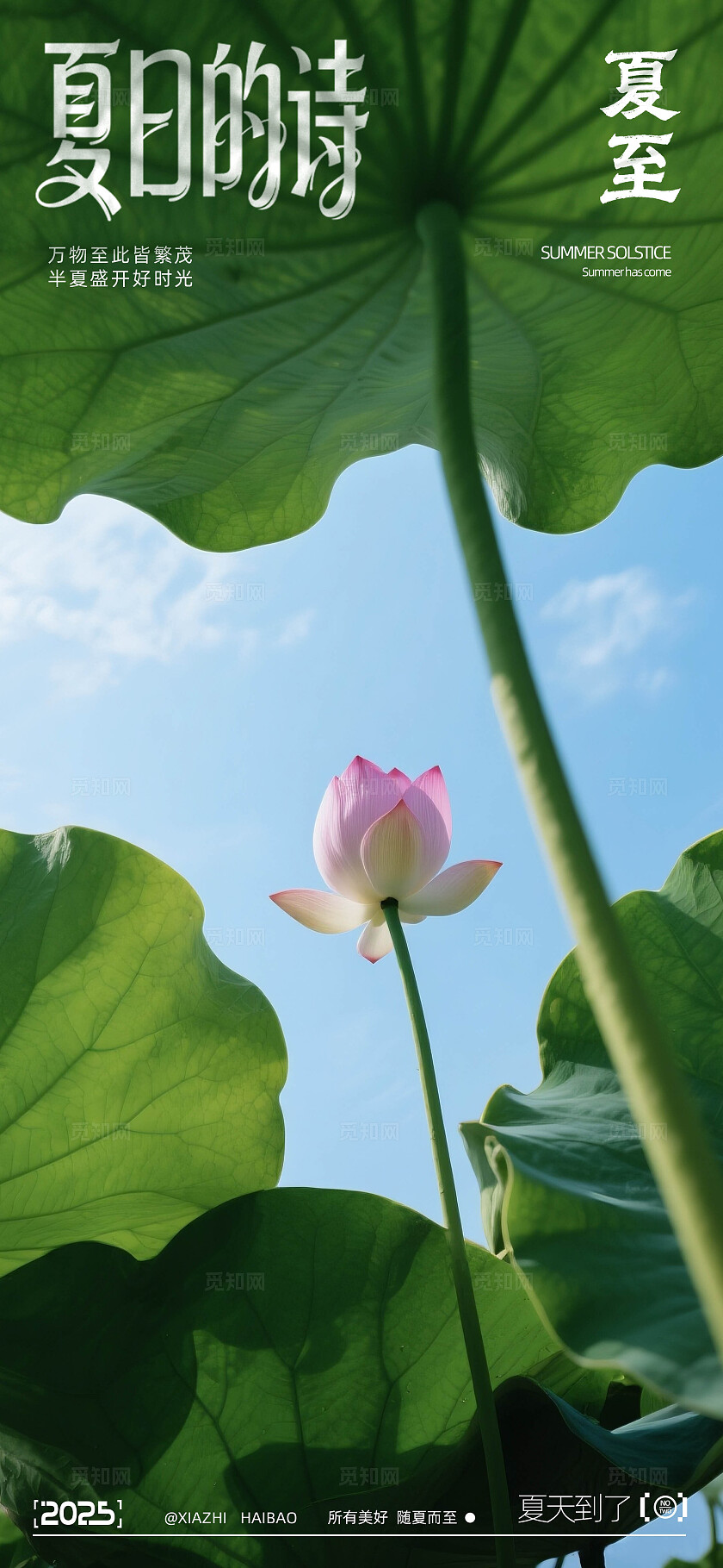 夏至写实摄影系列海报