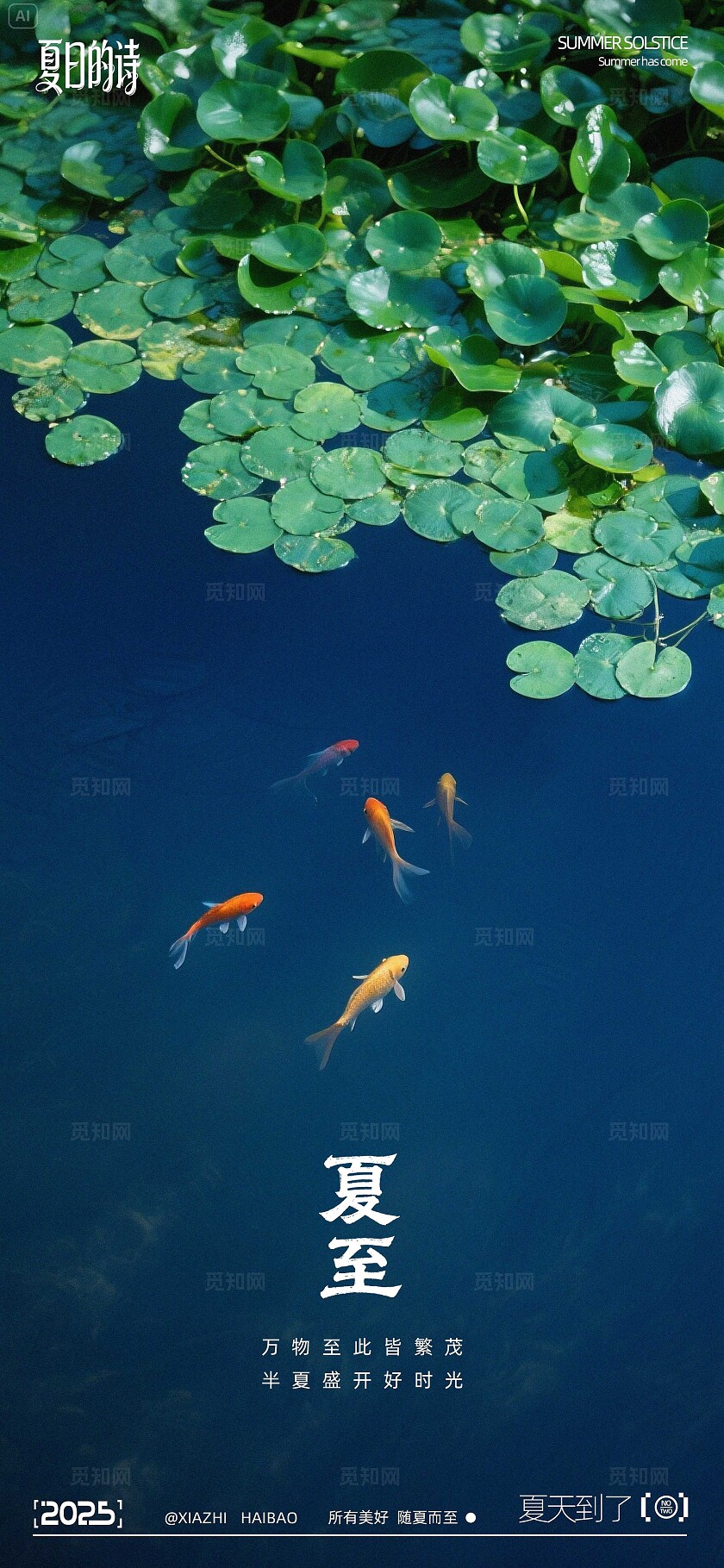 夏至写实摄影系列海报