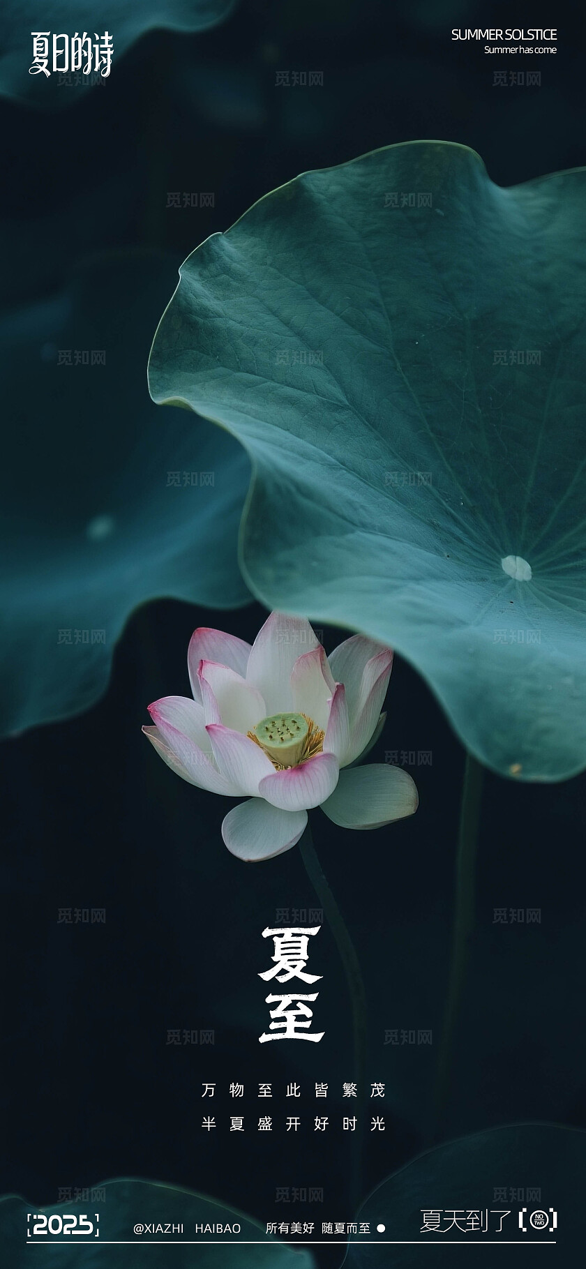 夏至写实摄影系列海报