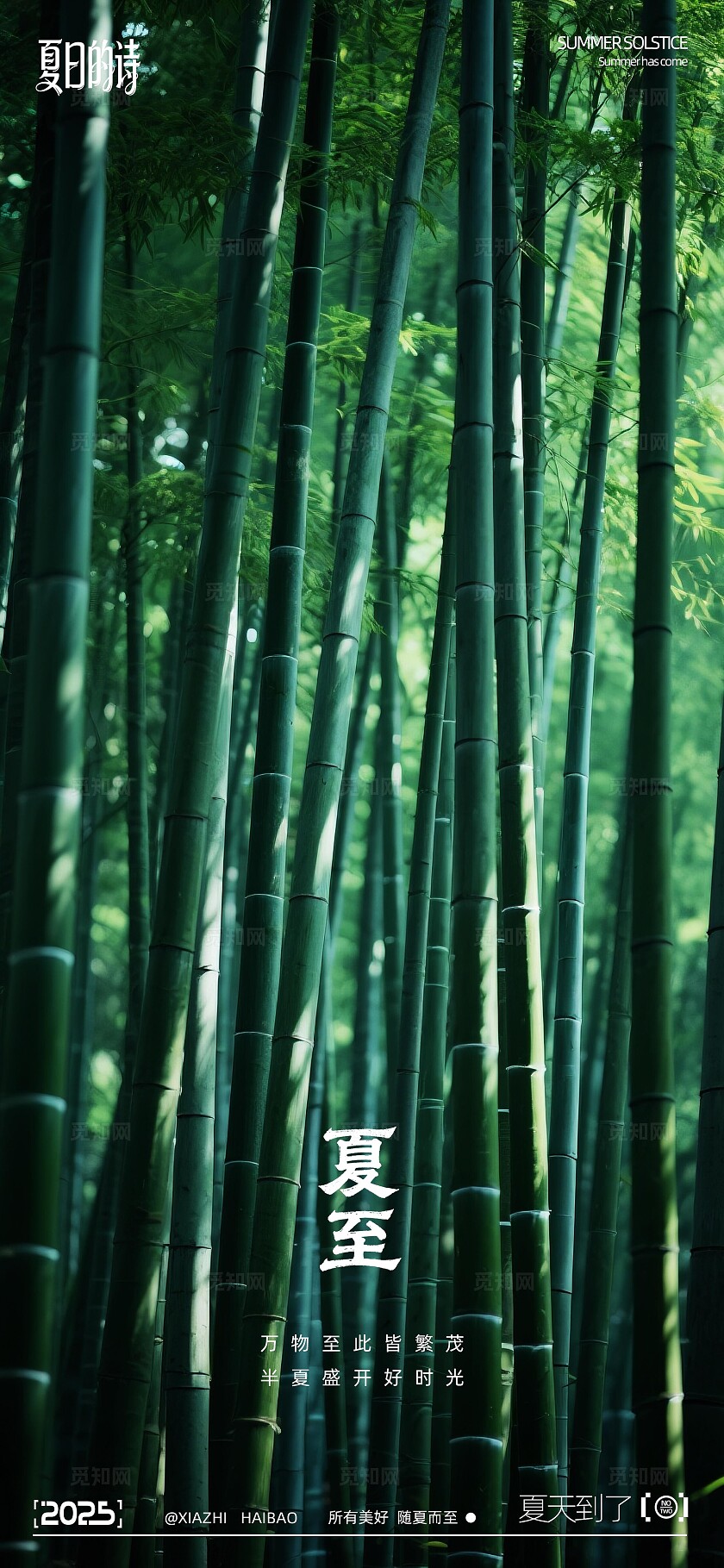 夏至写实摄影系列海报