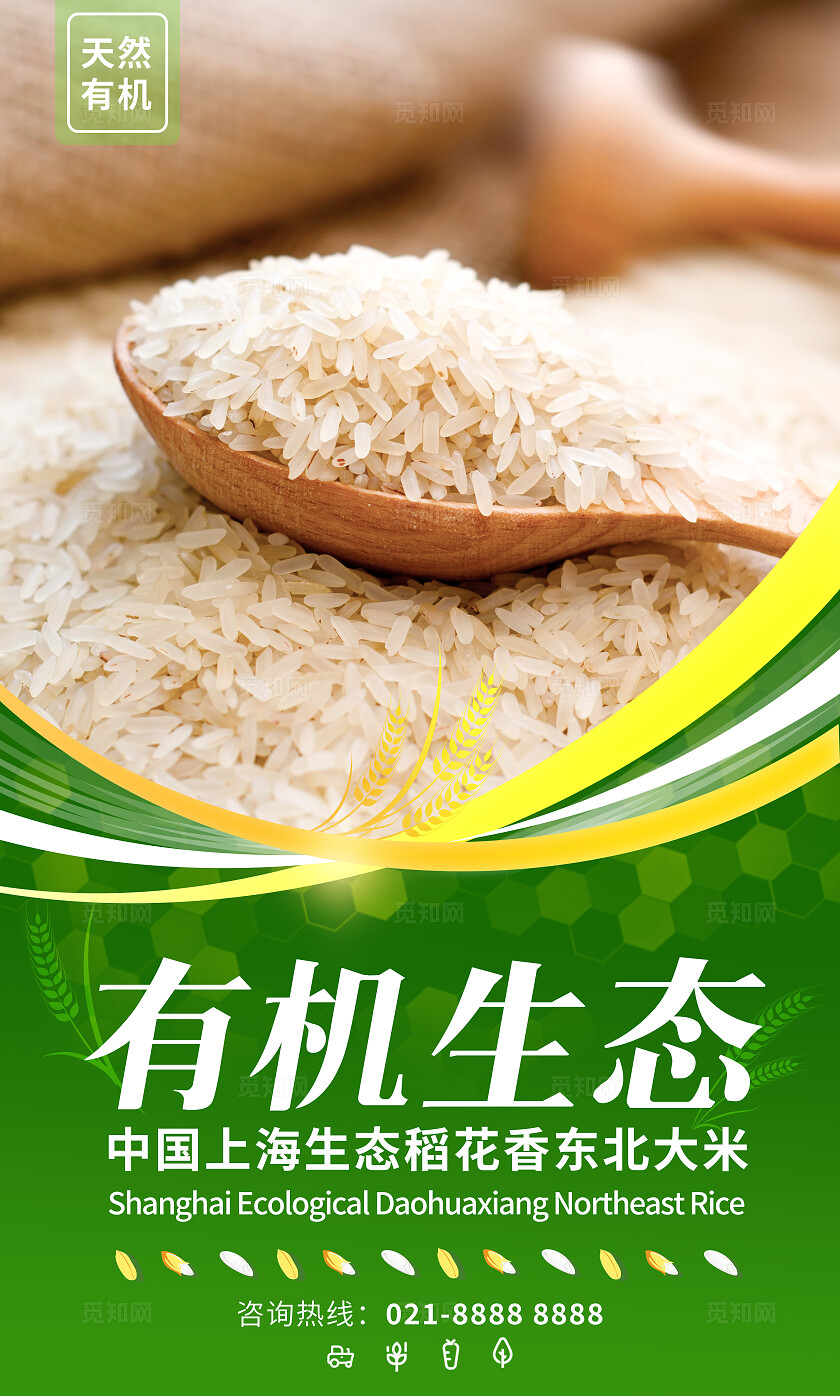 绿色简约套图有机大米宣传插画海报套图插图插画套图