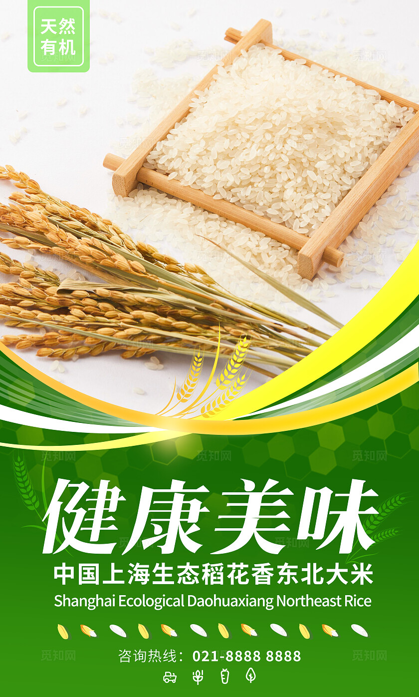 绿色简约套图有机大米宣传插画海报套图插图插画套图