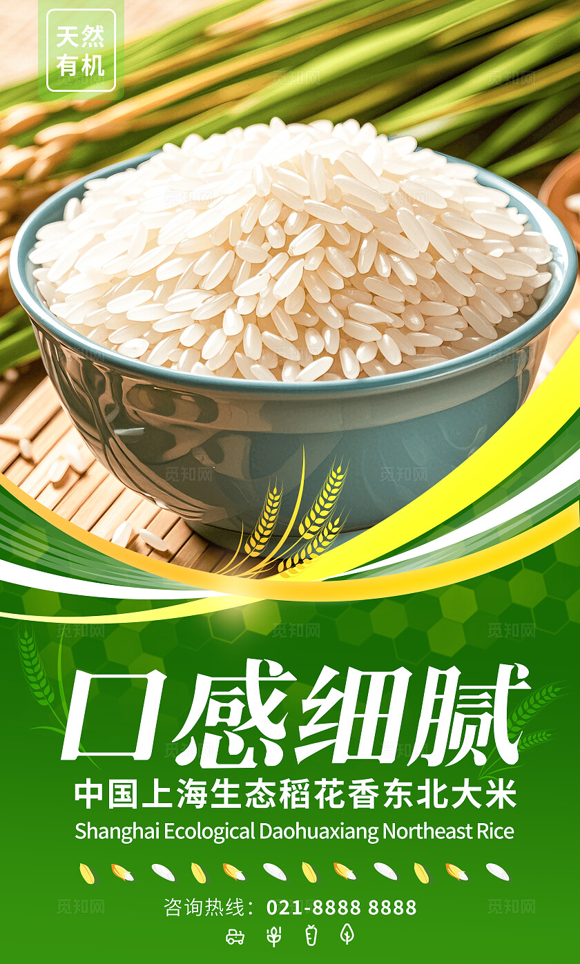 绿色简约套图有机大米宣传插画海报套图插图插画套图