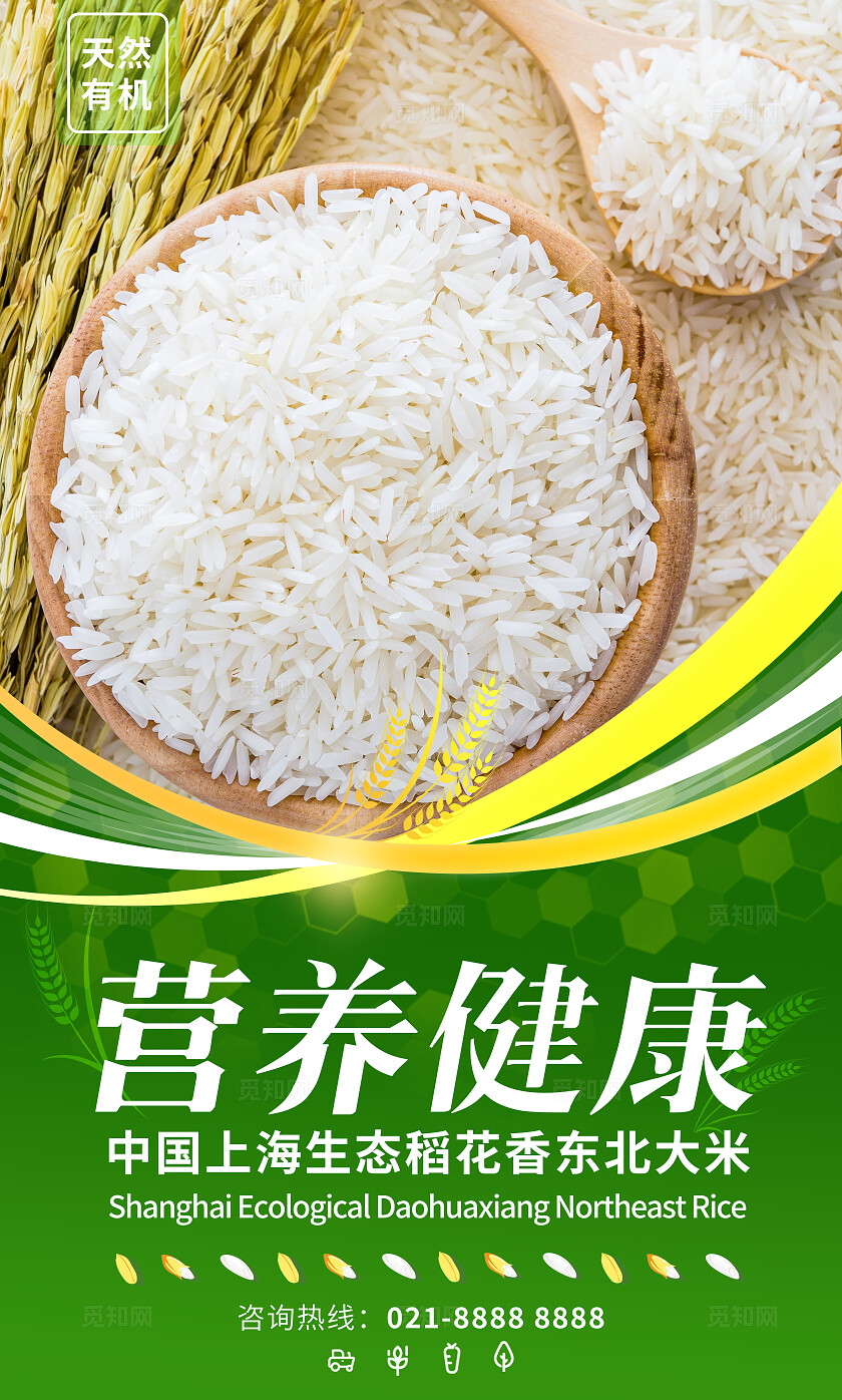 绿色简约套图有机大米宣传插画海报套图插图插画套图