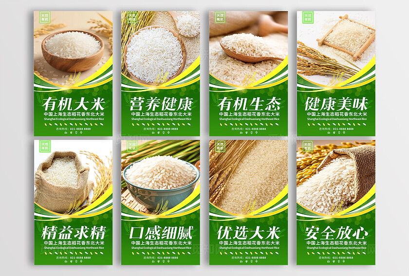 绿色简约套图有机大米宣传插画海报套图插图插画套图