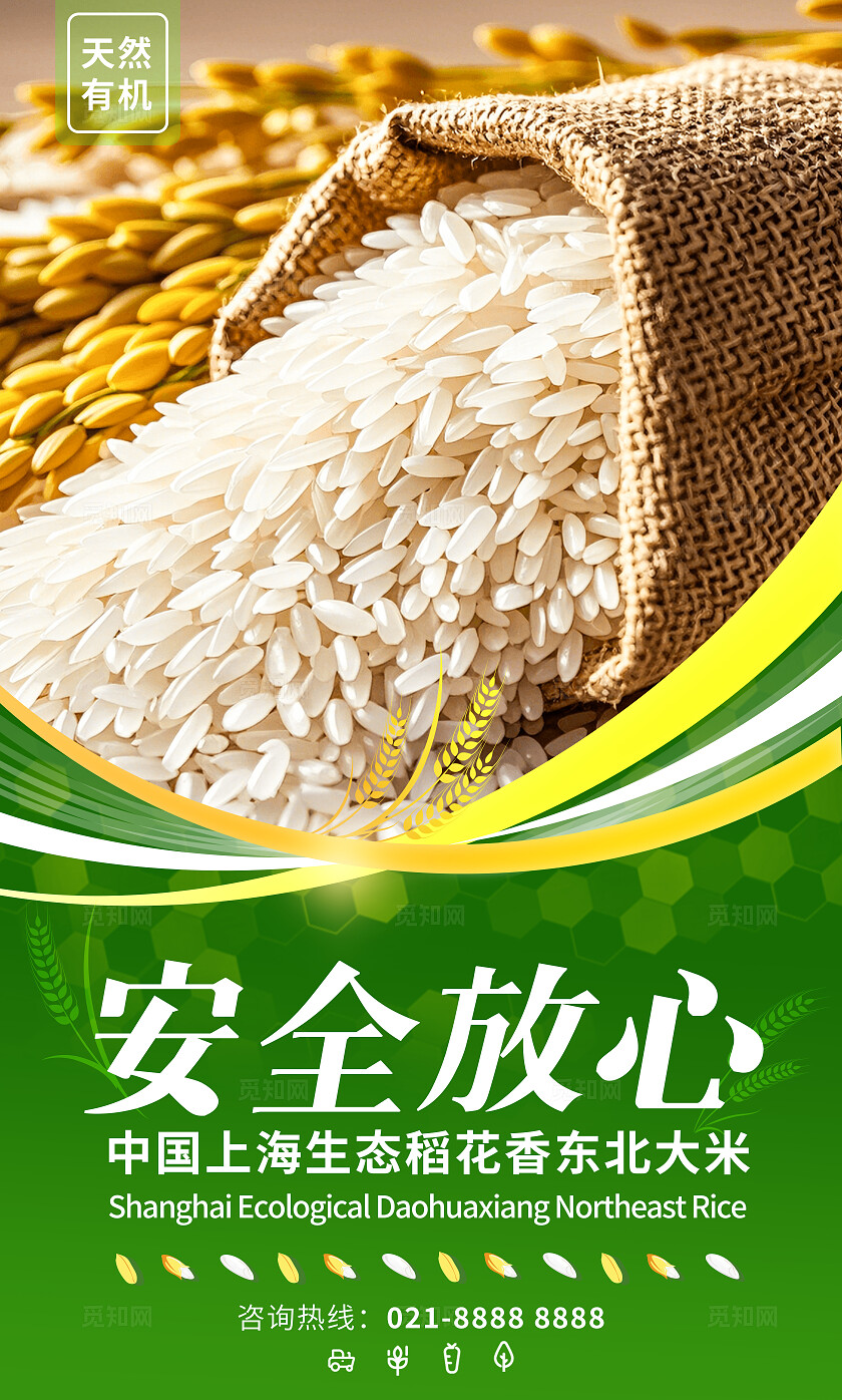 绿色简约套图有机大米宣传插画海报套图插图插画套图