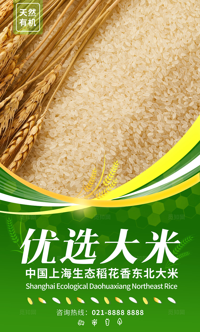 绿色简约套图有机大米宣传插画海报套图插图插画套图