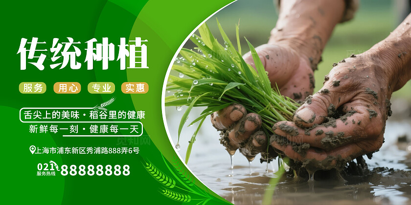 绿色简约宣传套图水稻种植有机大米农业宣传套图