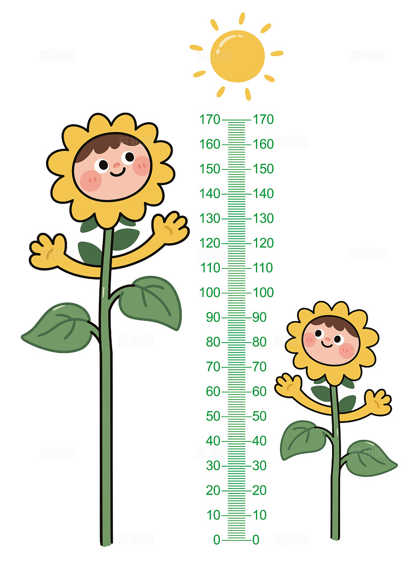 儿童身高尺向日葵卡通身高尺平面设计