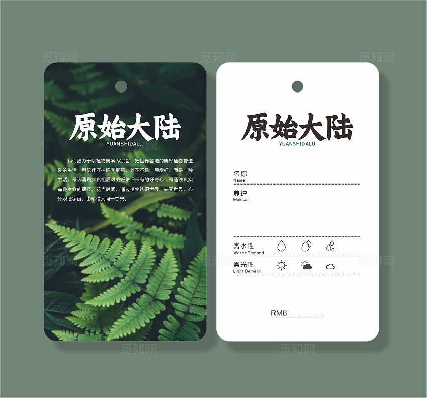 绿色简约大气原始在陆绿植标签 标贴 吊牌